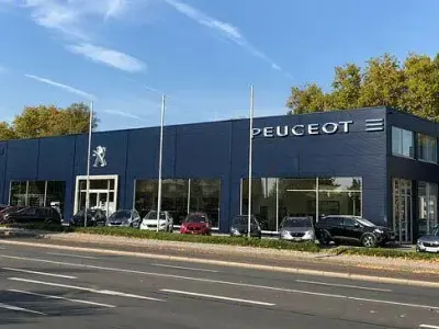 Gebraucht Peugeot 208 Active 75 PS (55 kW) 2024 Grün Kleinwagen