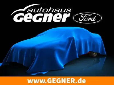 Neu Ford Tourneo Trend 232 PS (170 kW) 2025 Grau Van / Kleinbus