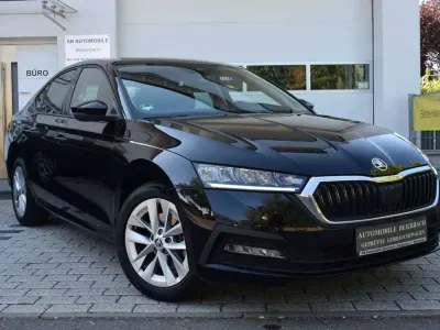Gebraucht Skoda Octavia