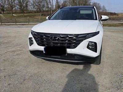 Gebraucht Hyundai Tucson 265 PS (194 kW) 2023 Weiß SUV
