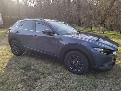 Gebraucht Mazda CX-30 Selection 179 PS (131 kW) 2019 Grau SUV