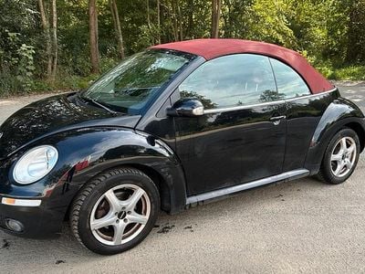 VW Beetle