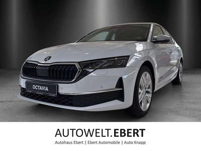 Gebraucht Skoda Octavia Selection 150 PS (110 kW) 2025 Moonweiß perleffekt Limousine