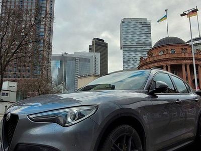 Grau Gebraucht 2019 Alfa Romeo Stelvio Tech Edition SUV | 26.300 € (Etwas zu teuer)