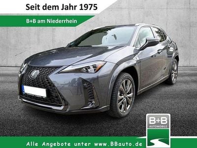Gebraucht Lexus UX Sport Line 184 PS (135 kW) 2023 Grau SUV