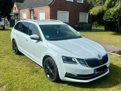 Gebraucht Skoda Octavia 150 PS (110 kW) 2020 Weiß Kombi