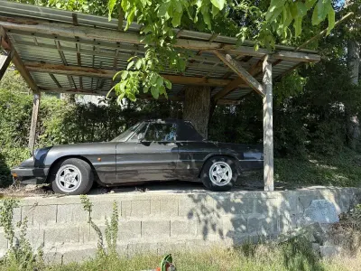Gebraucht Alfa Romeo Spider 126 PS (92 kW) 1984 Cabrio