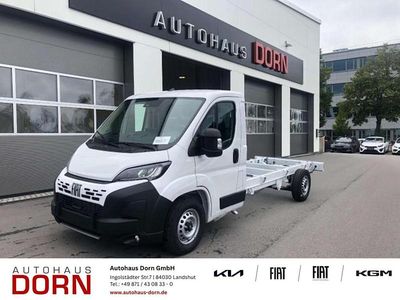 Neu Fiat Ducato 180 PS (132 kW) 2025 Weiß Van