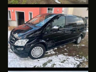 Mercedes Viano