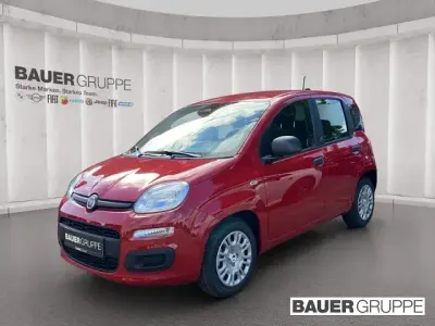 Neu Fiat Panda Icon 65 PS (47 kW) 2026 Rot Kleinwagen