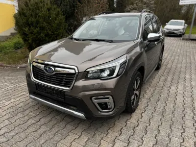 Gebraucht Subaru Forester