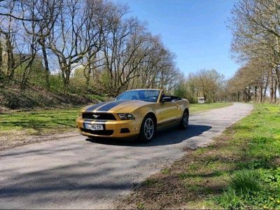 gebraucht Ford Mustang Cabrio V6