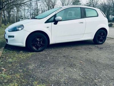 gebraucht Fiat Punto Evo 1.2 8V Pop