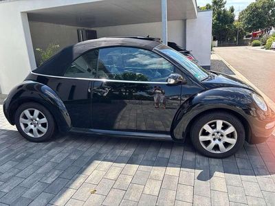 VW Beetle