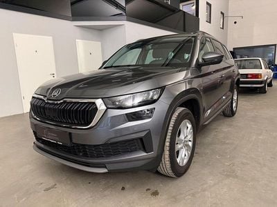Grau Gebraucht 2022 Skoda Kodiaq Ambition SUV | 22.690 € (Guter Preis)