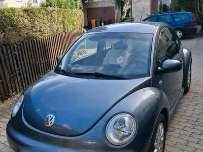 VW Beetle