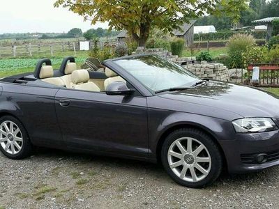 gebraucht Audi A3 Cabriolet 2.0 TDI DPF