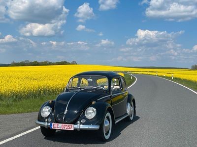 gebraucht VW Käfer 1200 deluxe 1961 - Angebot bis Mai