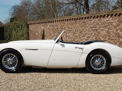 Brugt Austin Healey 100/6 150 HK (110 kW) 1959 Hvid Cabriolet