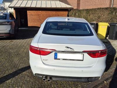 Gebraucht Jaguar XF Portfolio 179 PS (131 kW) 2016 Weiß Limousine