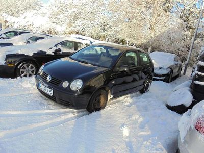 Schwarz Gebraucht 2004 VW Polo Cricket Kleinwagen | 1.799 € (Fairer Preis)