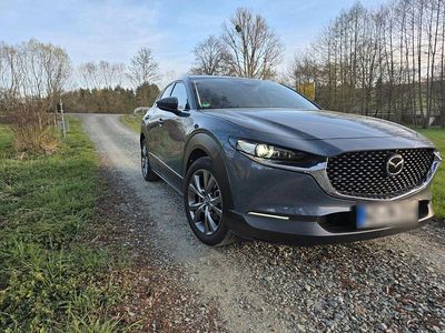 Usata Mazda CX-30 186 CV (136 kW) 2023 Grigio SUV