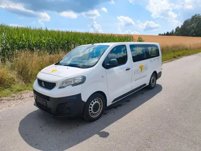 Gebraucht Peugeot Expert 150 PS (110 kW) 2019 Weiß Van