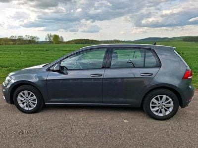 Gebraucht VW Golf VII Active 116 PS (85 kW) 2019 Grau Limousine