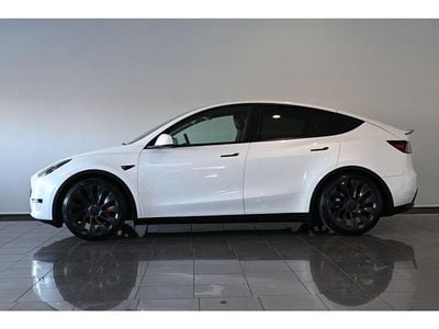 Gebraucht Tesla Model Y Performance 392 kW (534 PS) 2024 Weiß pearl white multicoat (metallic) SUV