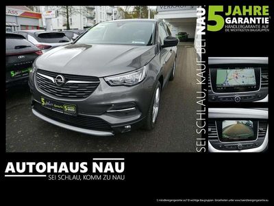 Gebraucht Opel Grandland X 131 PS (96 kW) 2020 Mondstein grau SUV