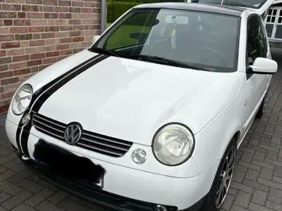 Gebraucht VW Lupo Basis 50 PS (36 kW) 2005 Weiß Kleinwagen