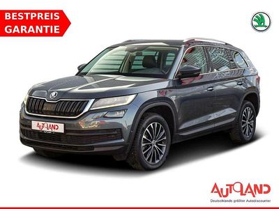 Grau (metallic) Gebraucht 2019 Skoda Kodiaq SUV | 27.490 € (Etwas zu teuer)