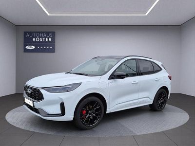 Gebraucht Ford Kuga ST-Line X 242 PS (177 kW) 2025 Weiß SUV