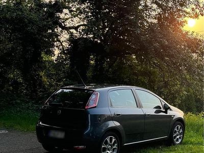 Gebraucht Fiat Punto 69 PS (50 kW) 2014 Grau Kleinwagen