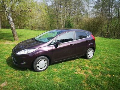 gebraucht Ford Fiesta 1,4 Ghia 8 fach Bereift, Bluetooth, Klima