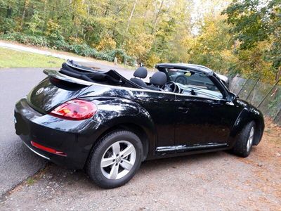 gebraucht VW Beetle Cabrio 1,4 l,TSI mit 150PS und Automatic