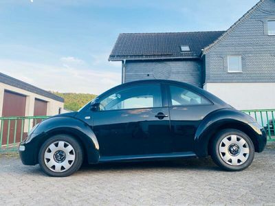 VW Beetle