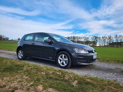Gebraucht VW Golf VII 110 PS (80 kW) 2016 Grau Kleinwagen