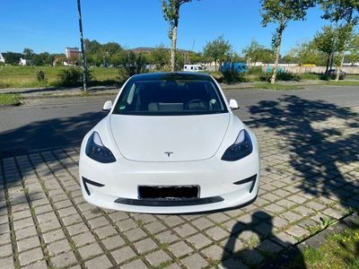 gebraucht Tesla Model 3 Model 3Standard Reichweite Plus Hinterradantrieb