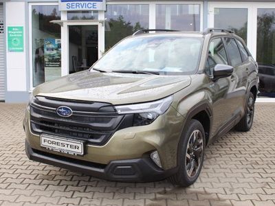 Neu Subaru Forester Trend 136 PS (100 kW) 2025 Grün SUV