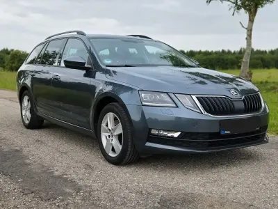 Gebraucht Skoda Octavia Ambition 150 PS (110 kW) 2018 Grau Kombi