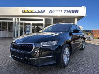 Neu Skoda Octavia Selection 150 PS (110 kW) 2025 Grau Kombi