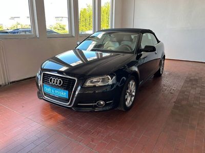 gebraucht Audi A3 Cabriolet Ambition *Navi/Xenon/SHZ*