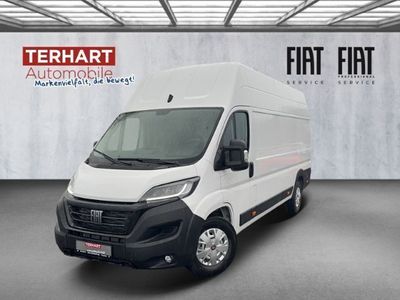 gebraucht Fiat Ducato Maxi