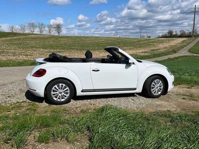 gebraucht VW Beetle Beetle TheCabriolet 2.0 TDI BlueMotion Technology