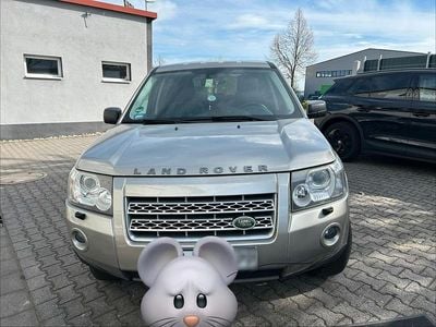 Usata Land Rover Freelander 2 S 150 CV (110 kW) 2009 Oro SUV