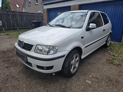 VW Polo