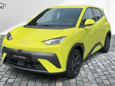 Gebraucht BYD Dolphin Surf