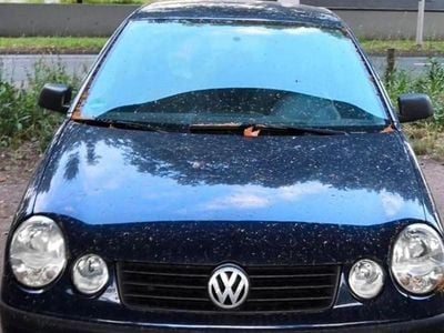 Second-hand VW Polo 54 CP (39 kW) 2004 Albastru Hatchback