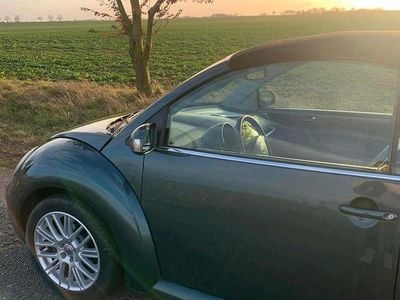 Gebraucht VW New Beetle Cabriolet 116 PS (85 kW) 2003 Grün Cabrio